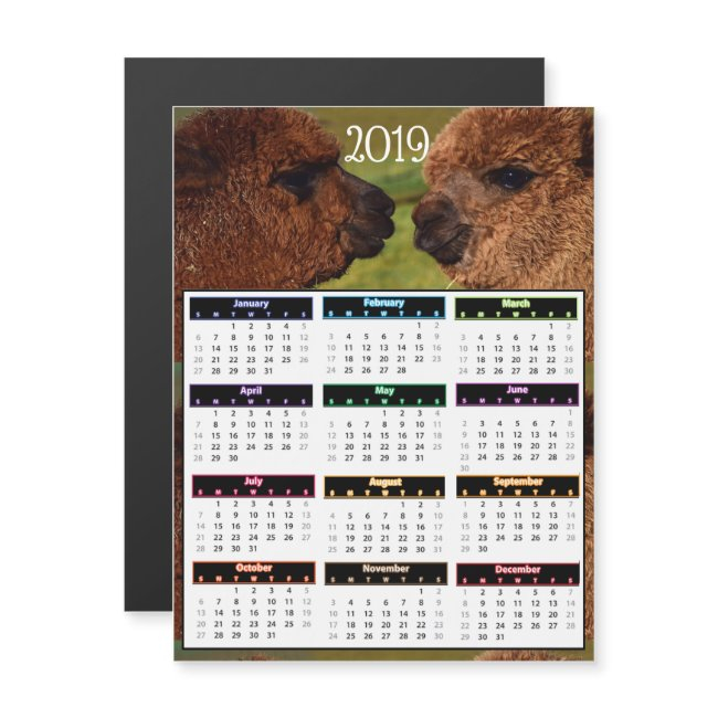 2019 Funny Alpacas Mini Calendar Magnetic Invitation