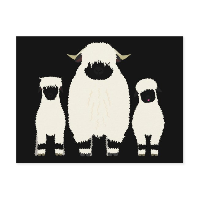 3 Valais Blacknose Sheep In A Row Postinvitations