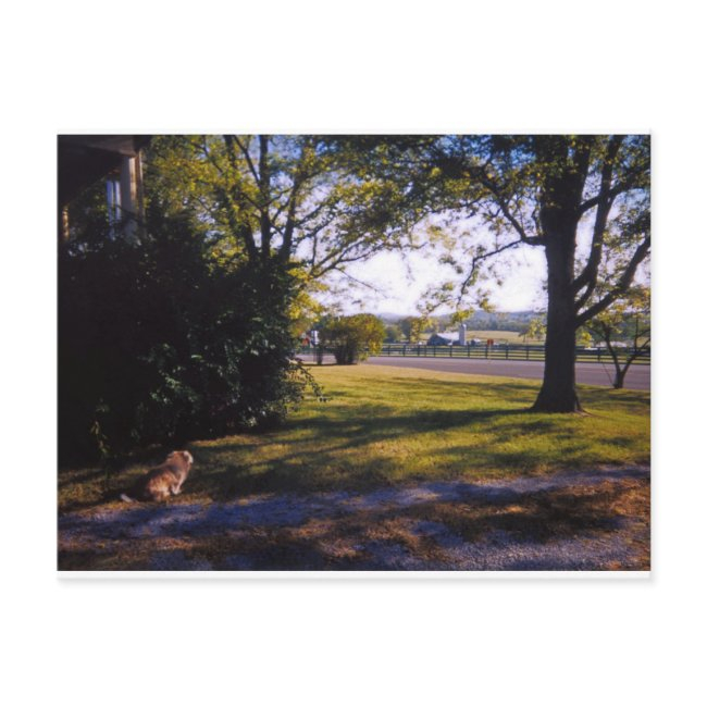 A Spot Of Pastoral Beauty In Brentwood, Tennessee Postinvitations