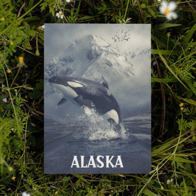 Alaska Mountains Killer Whale Orca Postinvitations