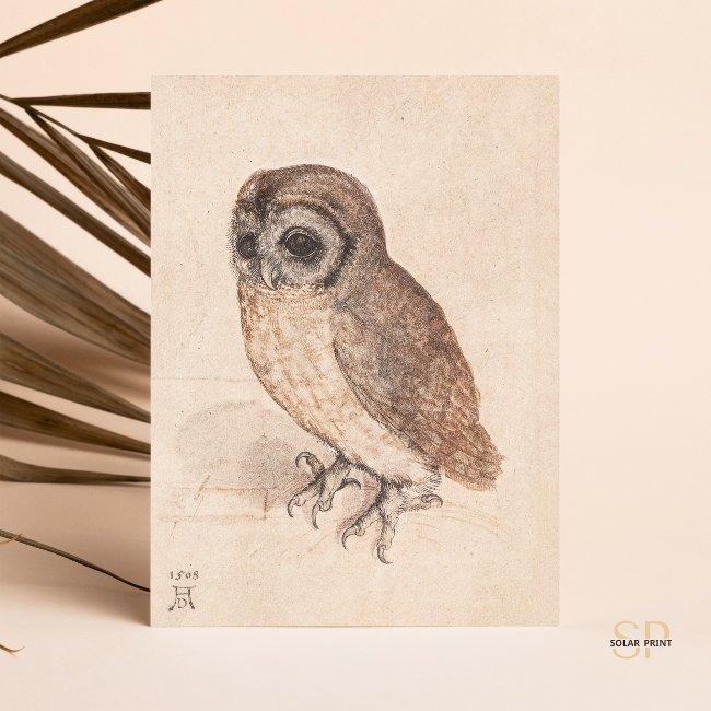 Albrecht Durer The Little Owl Art Postinvitations