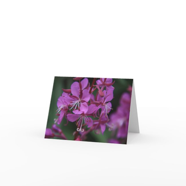 Alpine Fireweed Noteinvitations