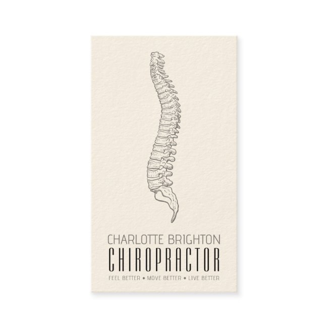 Anatomical Spine Chiropractor Appointment And Business Invitations
