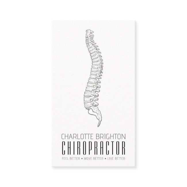 Anatomical Spine Chiropractor Appointment And Business Invitations