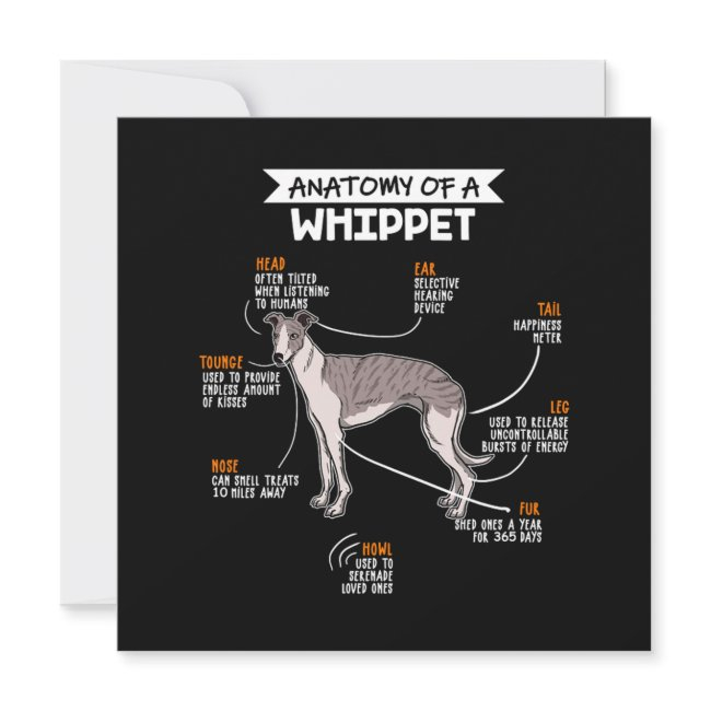 Anatomy Of A Whippet Dog Invitation