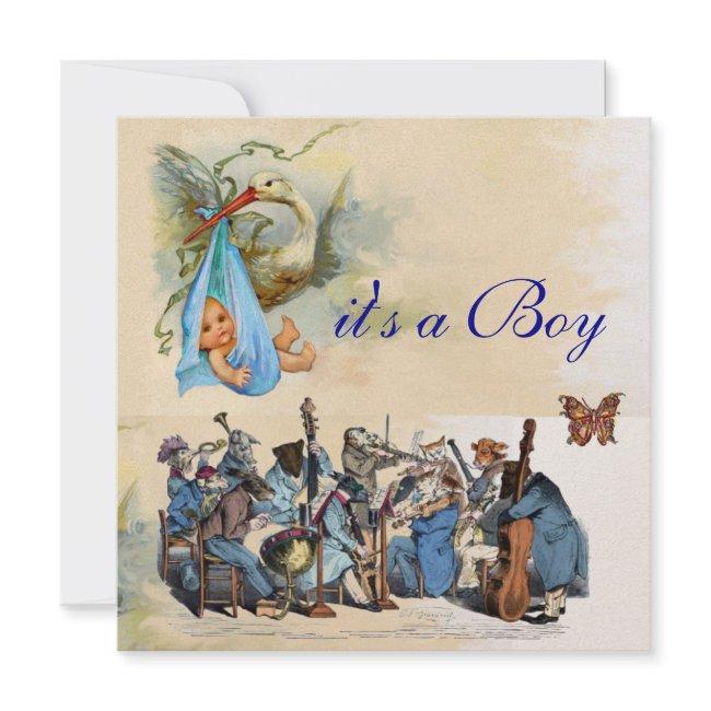 Animal Farm Orchestra / Blue Stork Boy Baby Shower Invitation
