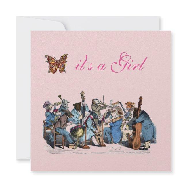Animal Farm Orchestra Butterfly Girl Baby Shower Invitation