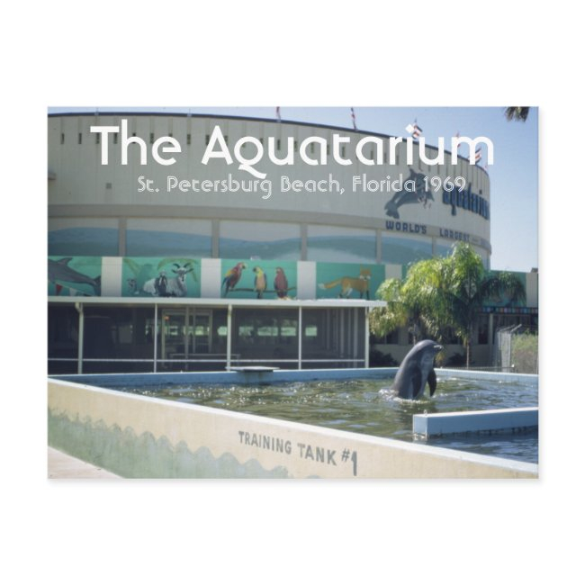 Aquatarium St. Pete Beach Florida Postinvitations