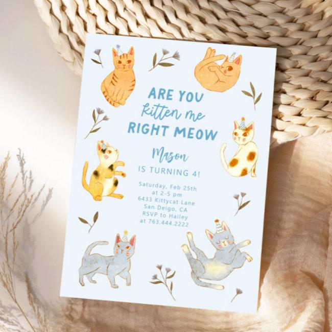 Are You Kitten Me Cat Boy Birthday Invitation