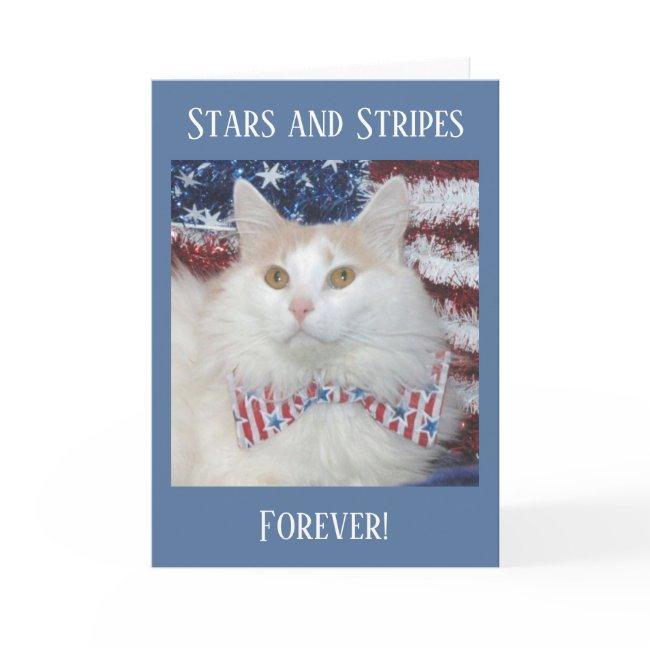 Beautiful White And Orange Cat Patriotic Invitations