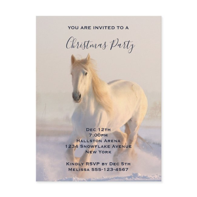 Beautiful White Horse In The Snow Photo Christmas Invitation Postinvitations