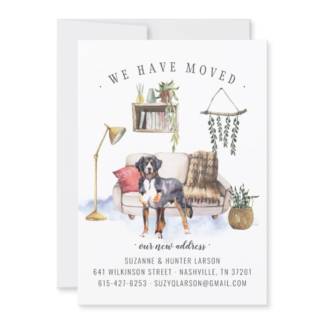 Bernese Mountain Dog | Moving Announcement