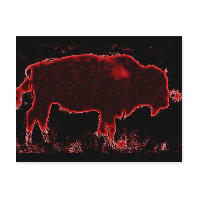 Bison / Buffalo Postinvitations