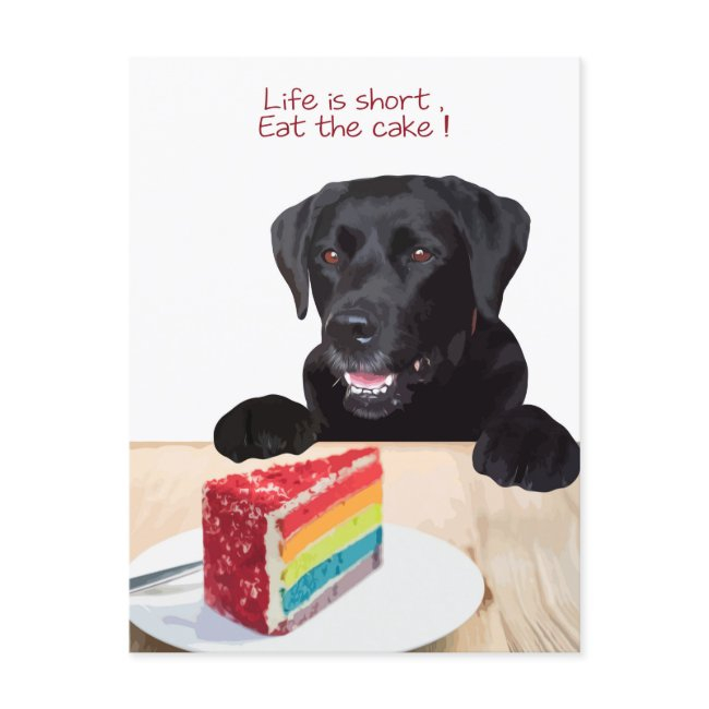 Black Lab- Life Is Short , Eat The Cake - Labrador Postinvitations