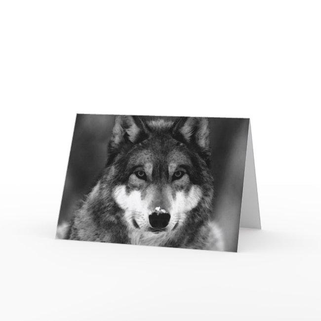Black & White Wolf Invitations