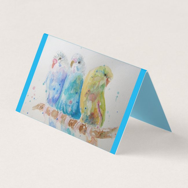 Blue Budgie Bird Budgerigar Budgies Greetings Invitations