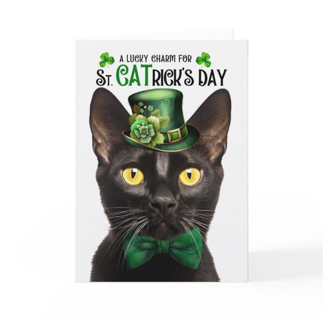 Bombay Black Cat St. Catrick's Day Lucky Charm Holiday Invitations