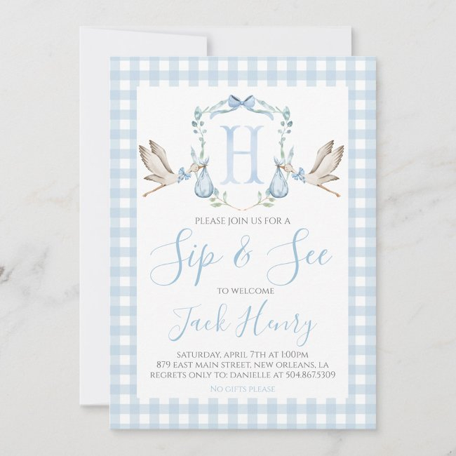 Boy Stork Preppy Gingham Blue Sip & See Invitation