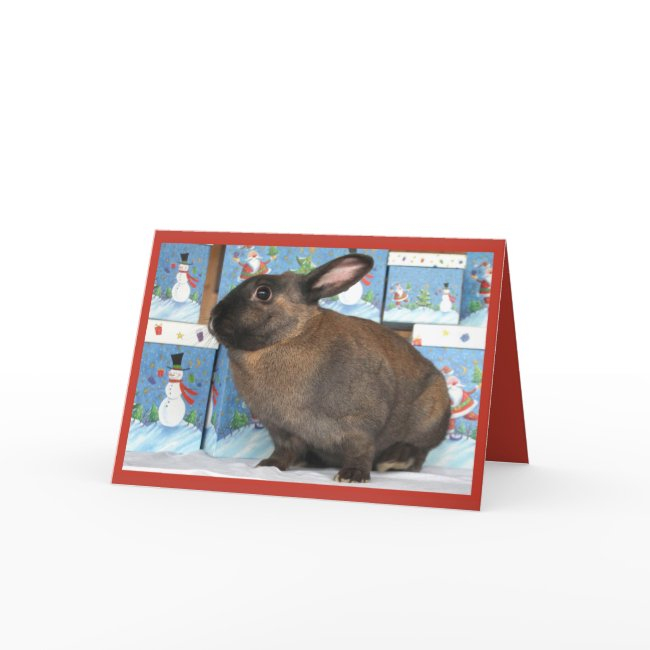 Bunny Rabbit Chritmas With Snowman Holiday Boxes