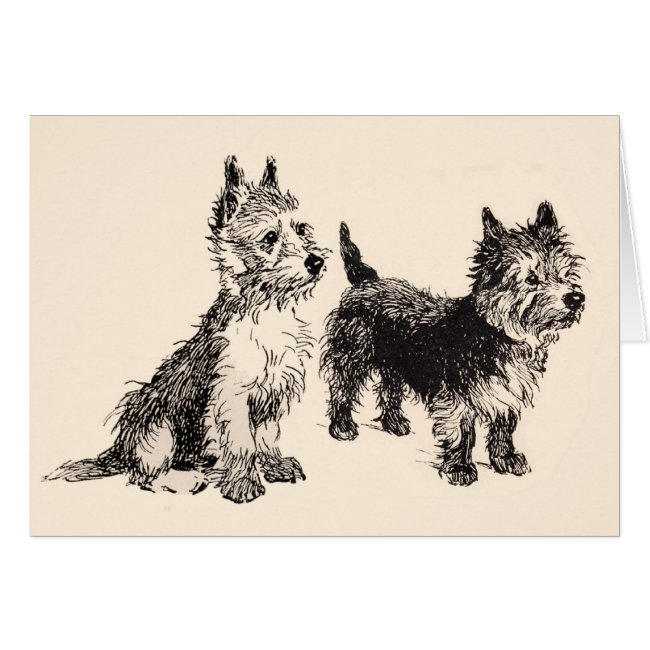 Cairn Terriers Vintage Pen & Ink