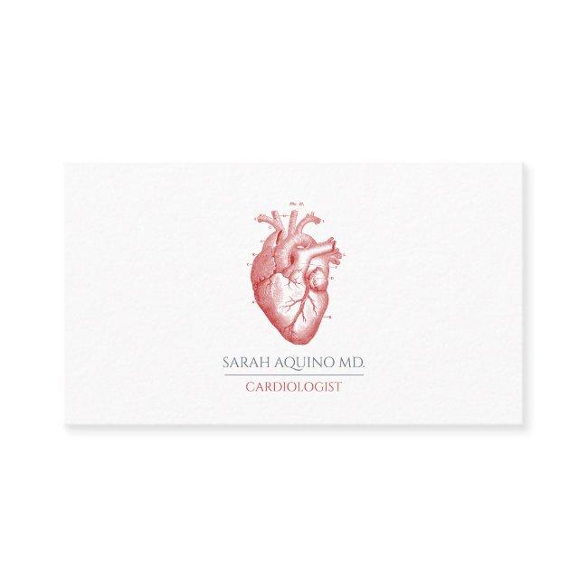 Invitationsiologist Doctor Anatomical Heart Illustration Business Invitations