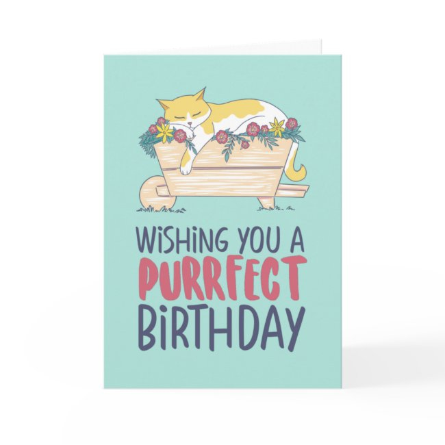Cat Sleeping Funny Cat Lover Purrfect Birthday Invitations
