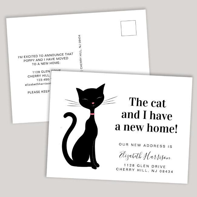 Cat We've Moved New Address Announcement Postinvitations