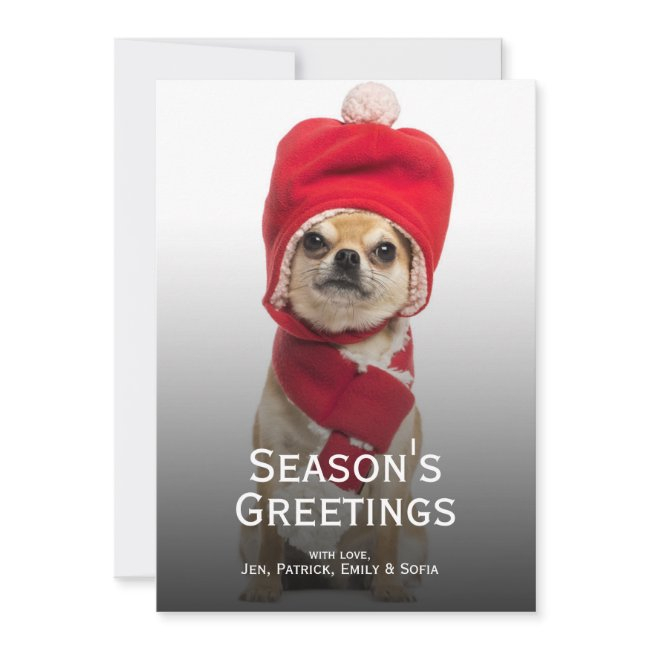Chihuahua Wearing Christmas Hat And Scarf Holiday Invitations