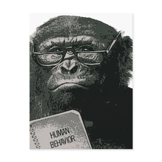 Chimp Reading Postinvitations
