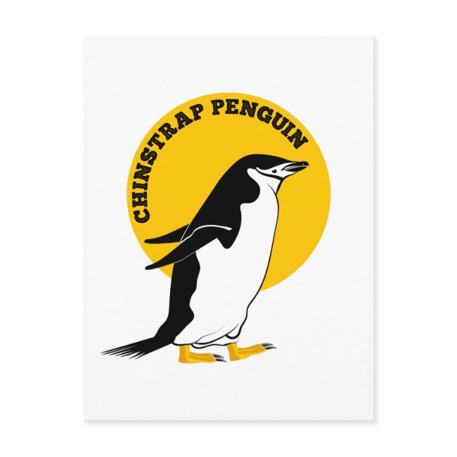 Chinstrap Penguin Postinvitations