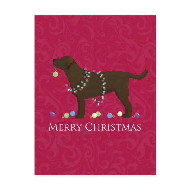 Chocolate Lab Merry Christmas Design Holiday Postinvitations