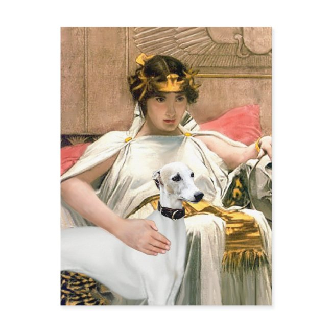 Cleopatra And White Whippet Postinvitations