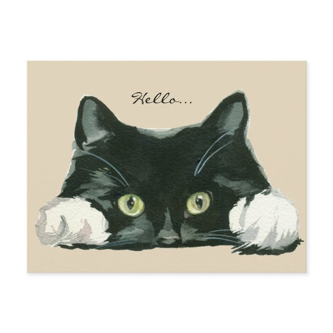Cute Black And White Cat Hello Postinvitations