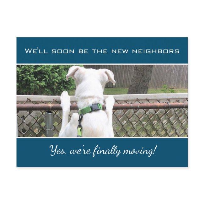 Cute Nosey White Puppy Dog Spying On Neighbors Announcement Postinvitations