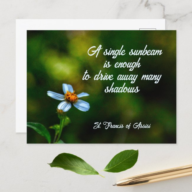 Daisy In Shadows St Francis Of Assisi Quote Postinvitations