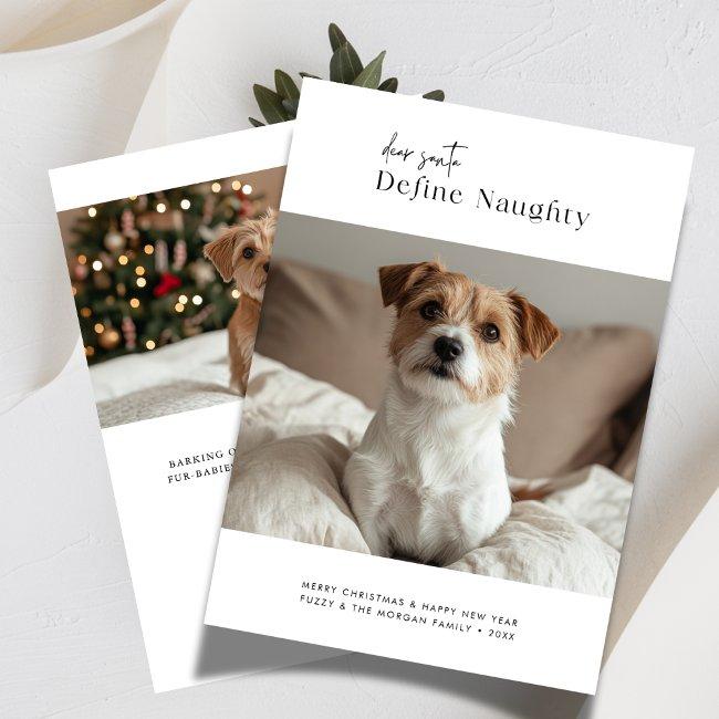 Dear Santa Define Naughty Christmas Dog 2 Photo Holiday Invitations