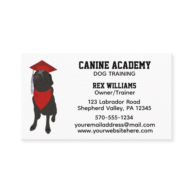 Dog Training Trainer Obedience School Business Invitations