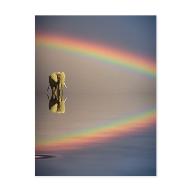 Elephant, Water & Rainbow, Kenya Postinvitations