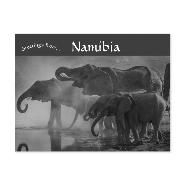 Elephants At Etosha National Park Namibia Postinvitations