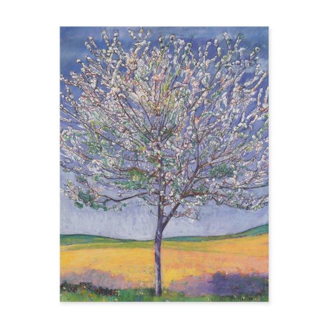 Ferdinand Hodler- Cherry Tree In Bloom Postinvitations