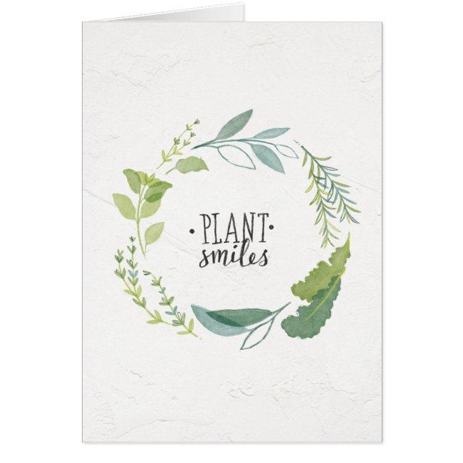 Fine Herbs Ii | Plant Smiles