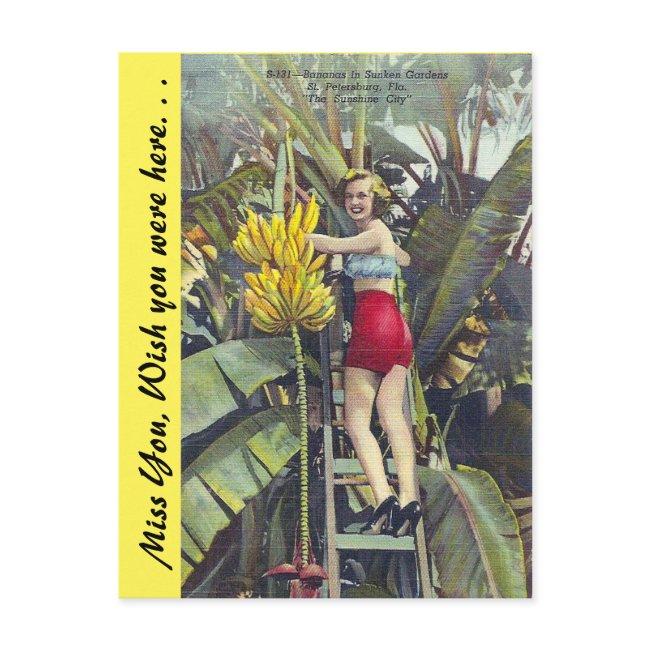 Florida, "the Sunshine City" Postinvitations