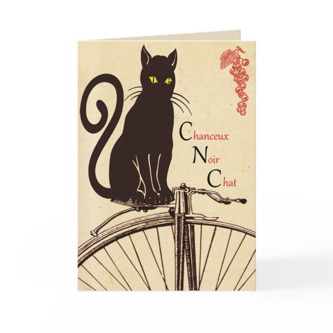 French Cat Greeting Invitations