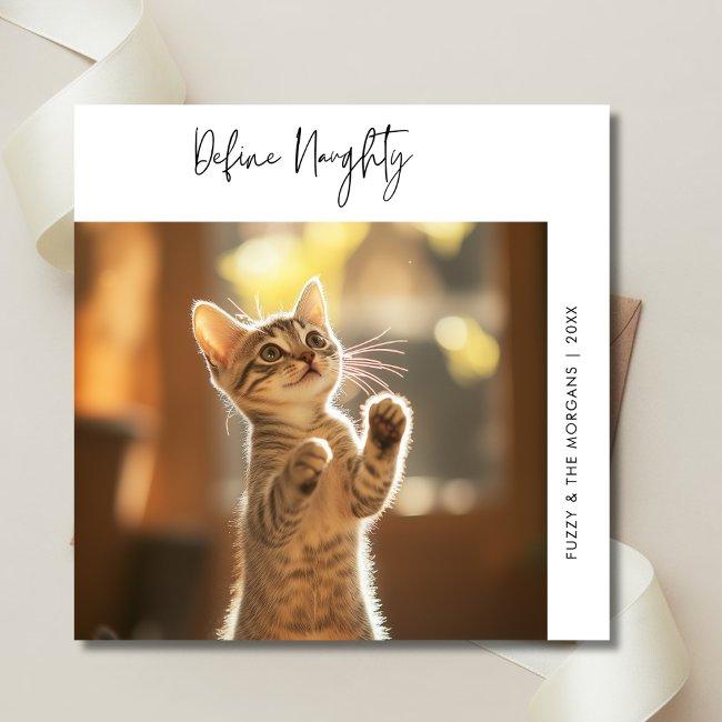 Funny Cat Photo Define Naughty Christmas Dog Pet Holiday Invitations