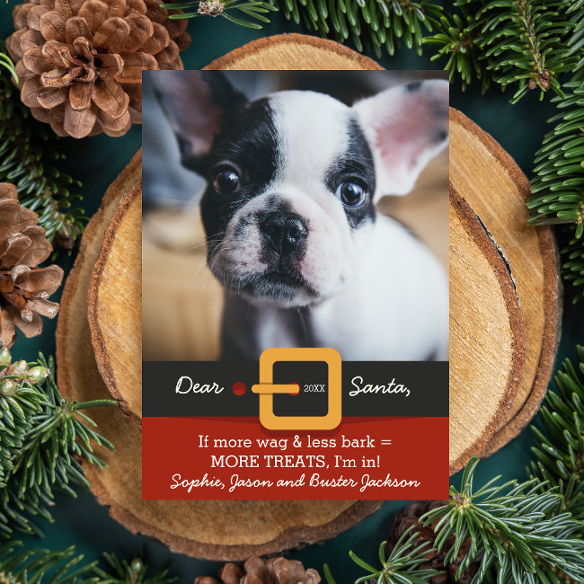 Funny Christmas Santa Dog More Wag Less Bark Photo Holiday Invitations