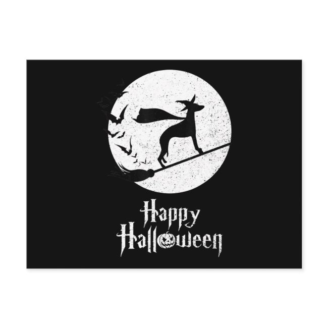 Funny Halloween Costume Witch Whippet Dog Lover Gi Announcement Postinvitations