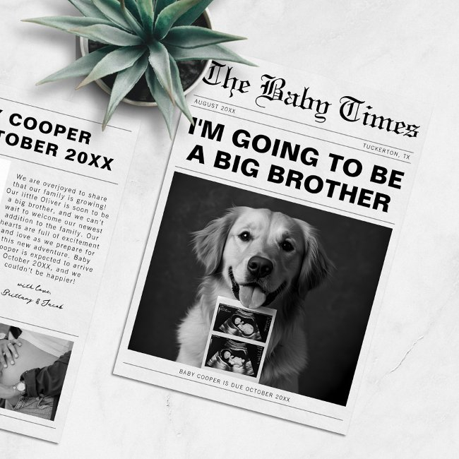 Funny Newspaper Pet Pregnancy Announcement