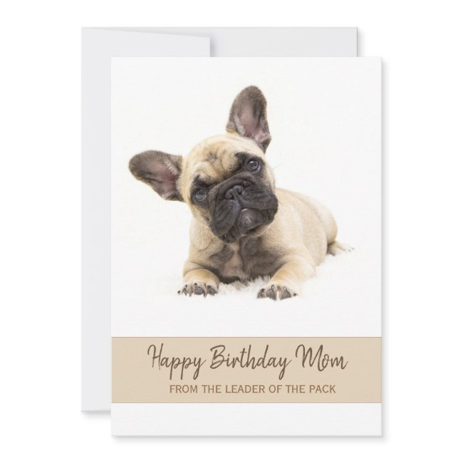 Happy Birthday Mom French Bulldog Photo Holiday Invitations