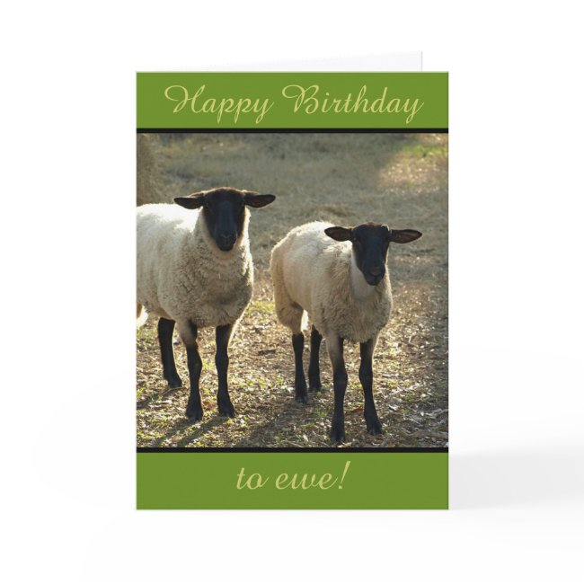 Happy Birthday To Ewe From The Flock! Customizable Invitations