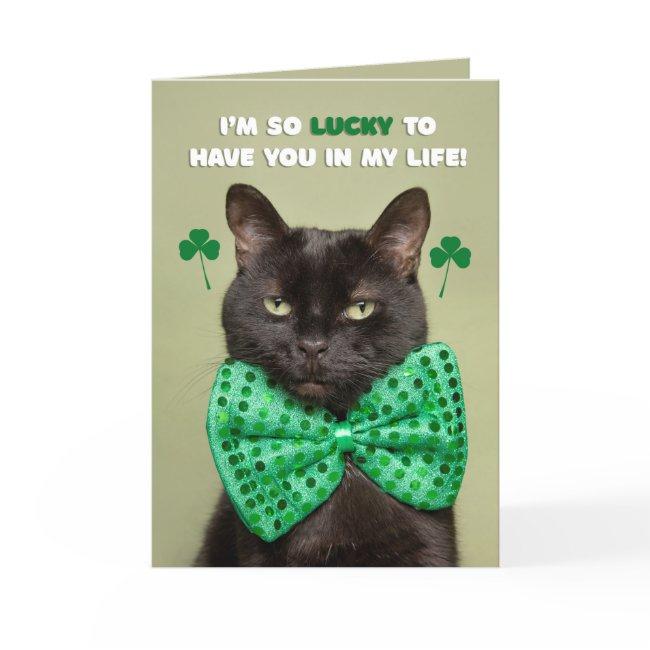 Happy St. Patrick's Day Lucky Black Cat Humor Holiday Invitations